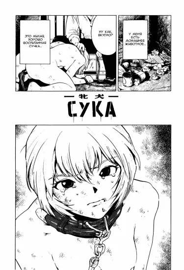 Сука Хентай манга и Додзинси