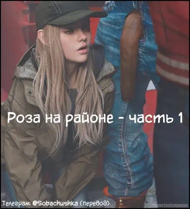 Роза на районе Хентай манга и Додзинси