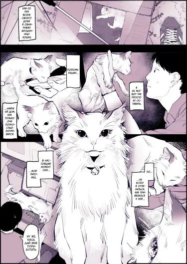 Кошечка Том - 1 Глава - 1 Хентай манга читать онлайн Кошечка Том - 1 Глава - 1 Хентай манга и Додзинси