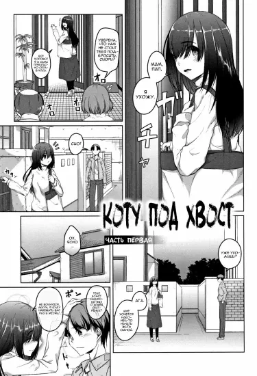 Коту под хвост Хентай манга и Додзинси